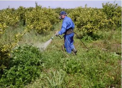 雑草の撲滅のための除草剤：品種と行動様式