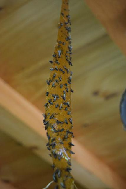 木造家屋での飛行機の破壊