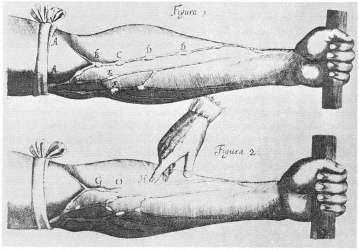 ウィリアム・ハーヴェイ生物学