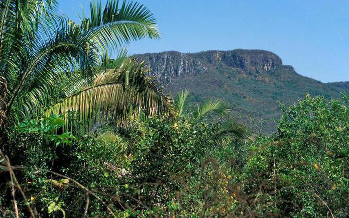 ブラジルとギアナの高地の川の特徴