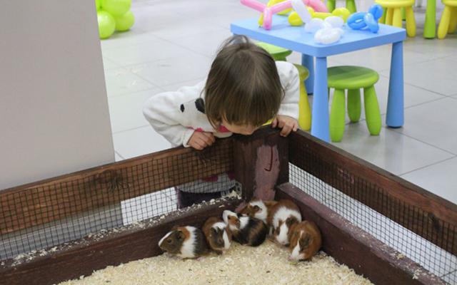 どのコンタクト動物園がモスクワで最大ですか？