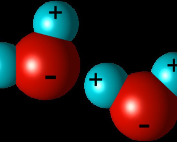 水の生物学的役割は何か