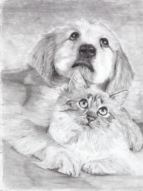 猫と犬を描く方法