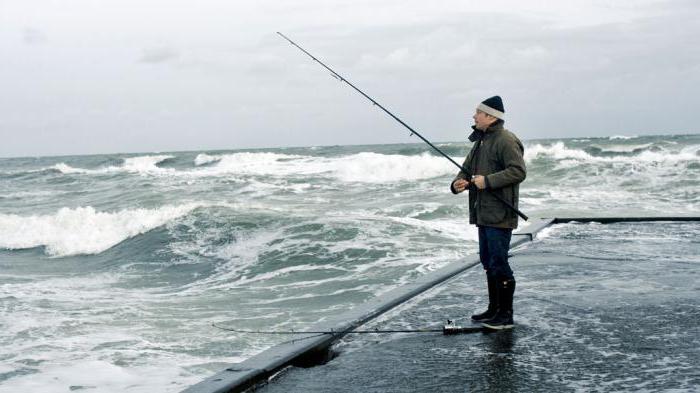 どのような海がロシアを洗っていますか？概要