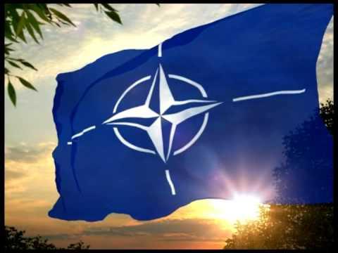 NATO：記録と歴史