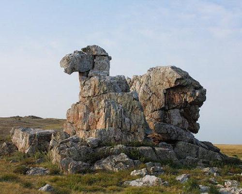 オレンブルク地方。オレンブルク地域の自然（写真）