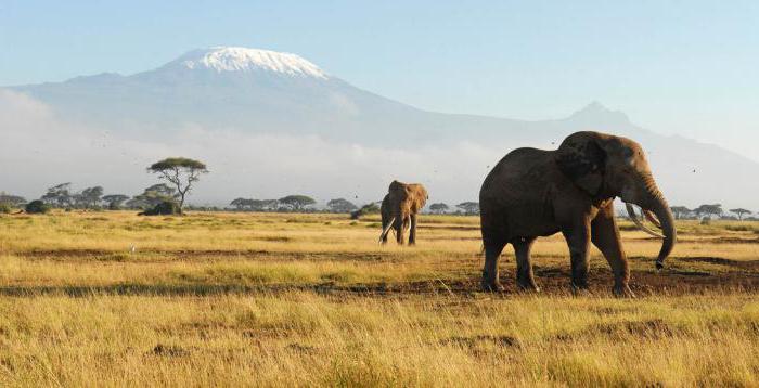 アフリカの地理的位置と性質の特徴アフリカの大陸は他の大陸に比べてどうですか？