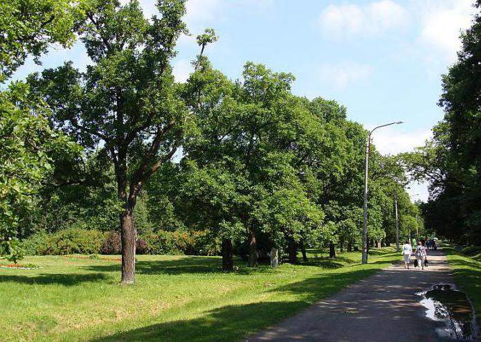 セストロレツクのオークの公園