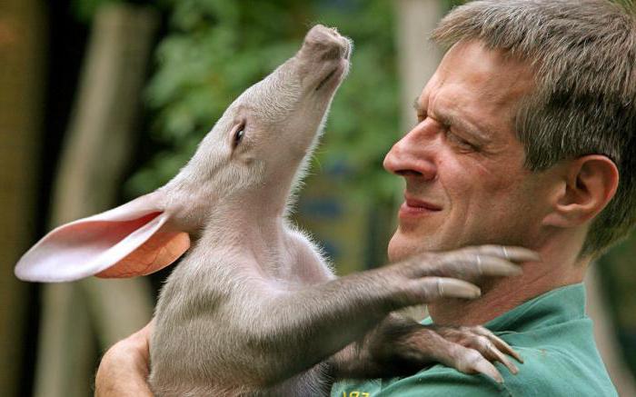 動物園のエカテリンブルク価格