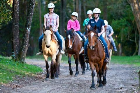 乗馬、エカテリンブルグ：特集、住所、およびレビュー