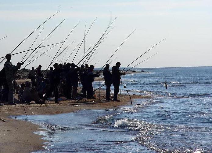 7月のアナパでの釣り