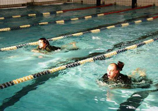 軍用スポーツ：基本的な分野