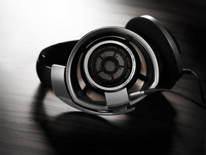 オープンダイナミックステレオヘッドフォンSennheiser HD 800 Silver